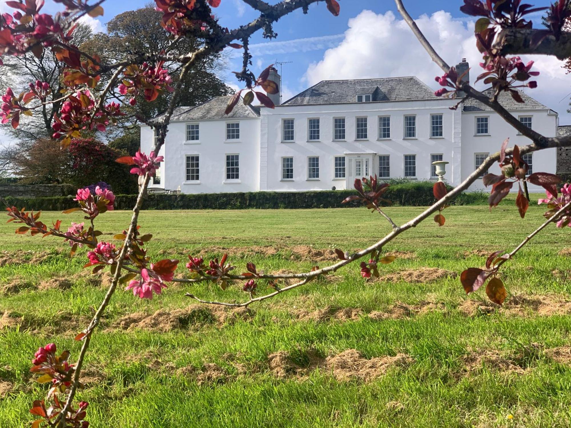 Bed and Breakfast Trewardale Bodmin Esterno foto